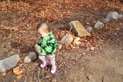Irvine Regional Park