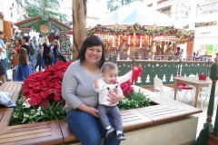 Santas Village Adventures
